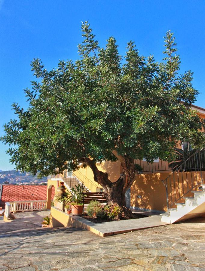 A Carubba Du Bungiurnu Villa Борджо Вереци Екстериор снимка